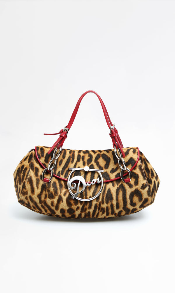 Dior Leopard Diva Bag