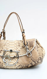 Dior Python Diva Bag