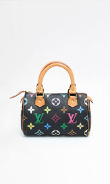 Louis Vuitton Multicolour Nano Speedy