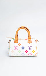 Louis Vuitton Multicolour Nano Speedy