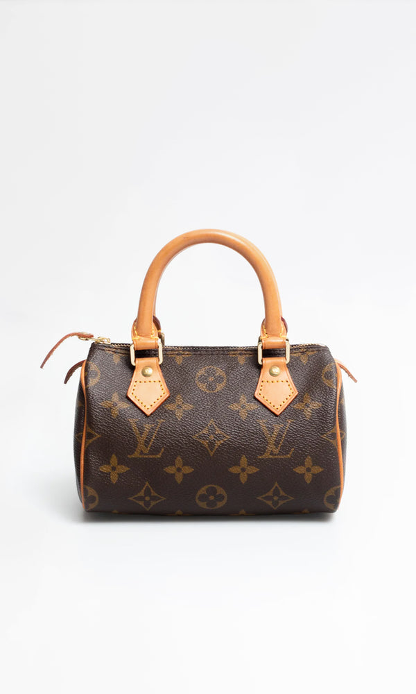 Louis Vuitton Nano Speedy