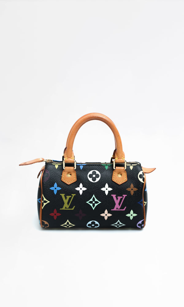 Louis Vuitton Multicolour Nano Speedy