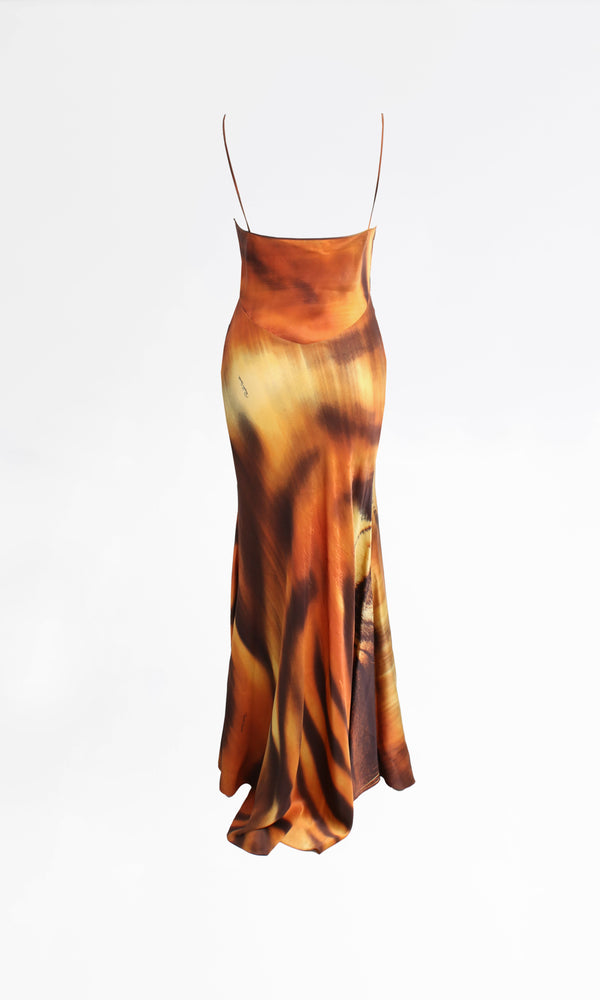 Roberto Cavalli Tiger Dress