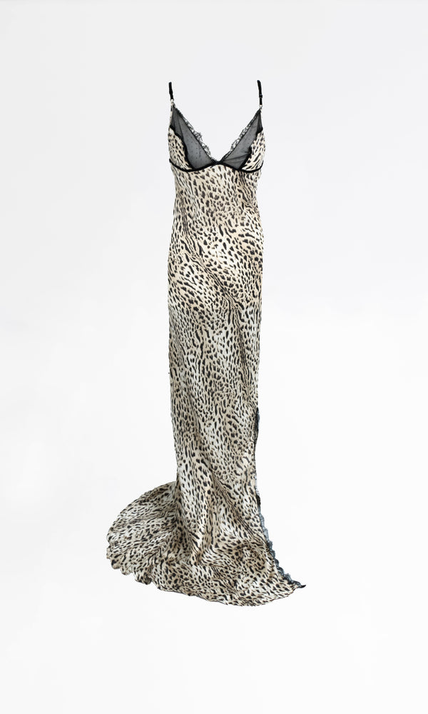 Roberto Cavalli Dress