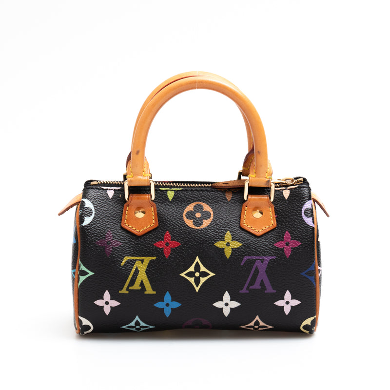 Louis Vuitton Multicolour Nano Speedy