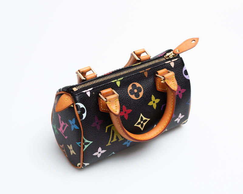 Louis Vuitton Multicolour Nano Speedy