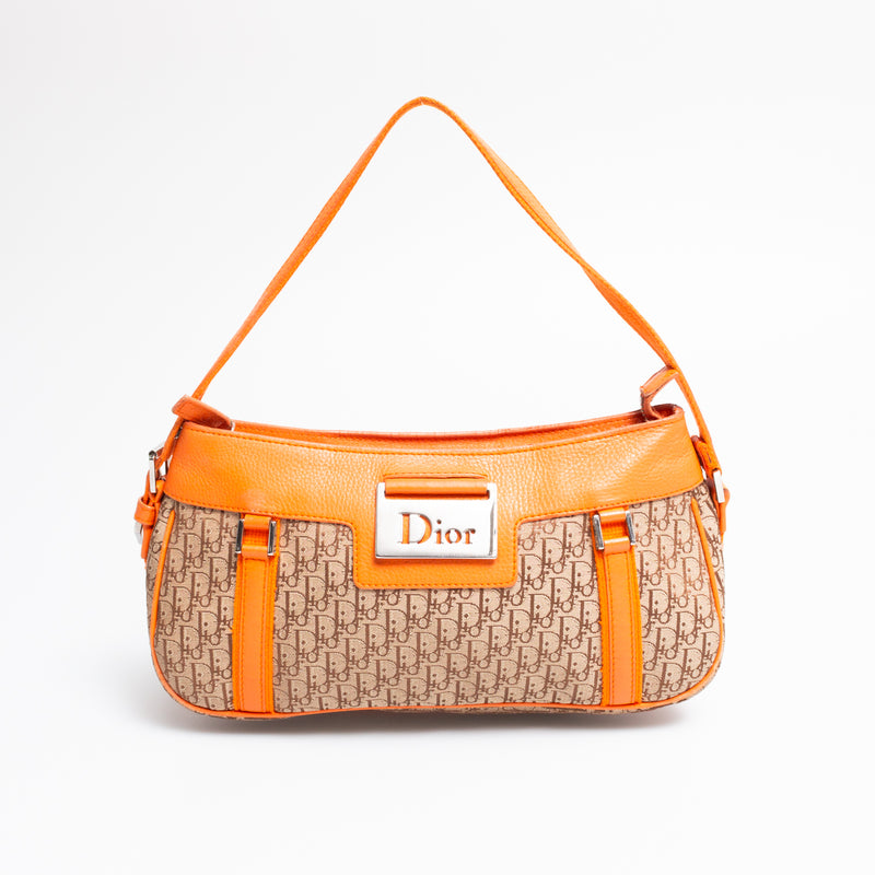 Dior Monogram Bag