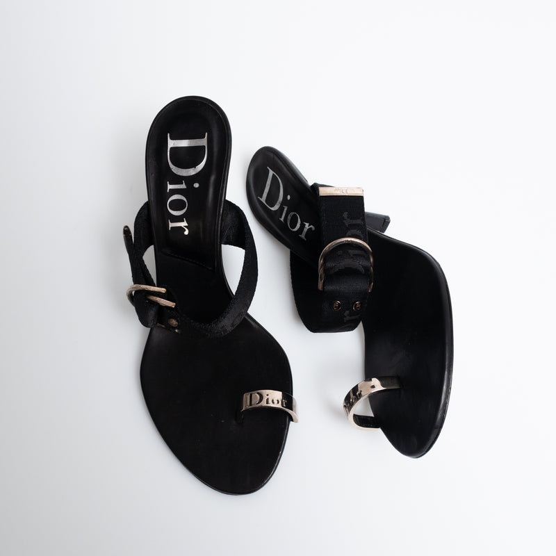 Dior Strap Heels