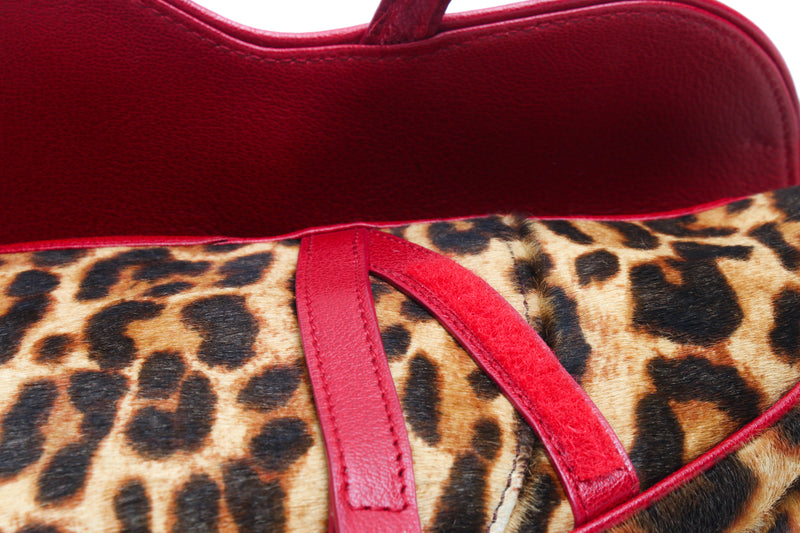 Dior Leopard Saddle Bag