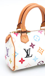 Louis Vuitton Multicolour Nano Speedy