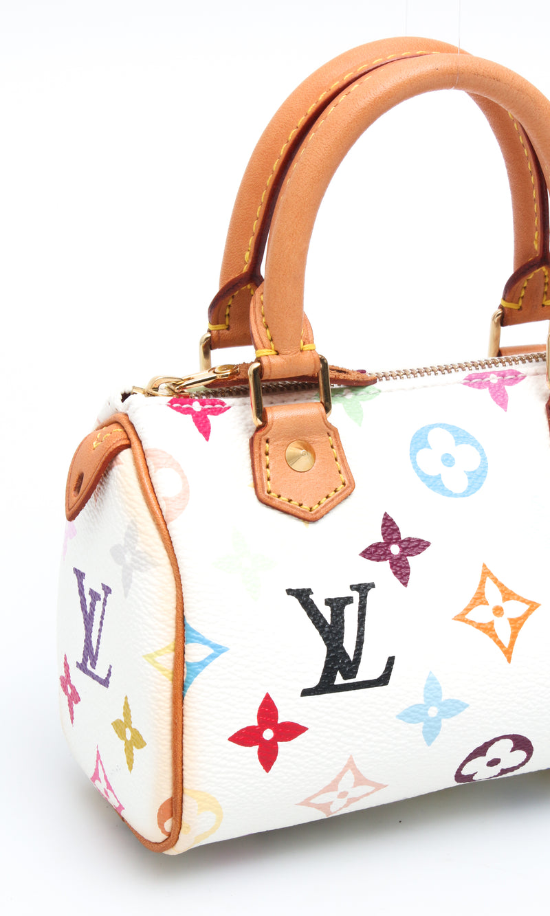 Louis Vuitton Multicolour Nano Speedy