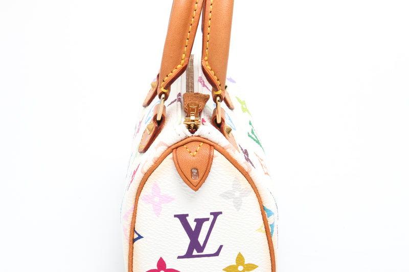 Louis Vuitton Multicolour Nano Speedy