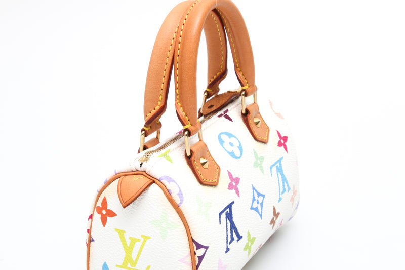 Louis Vuitton Multicolour Nano Speedy