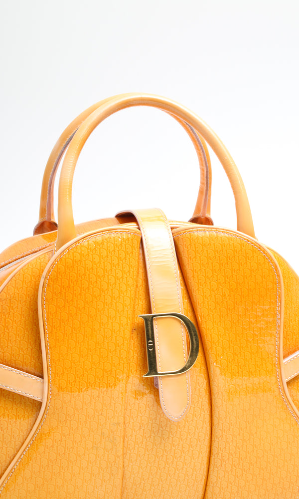 Dior Double Saddle Bag