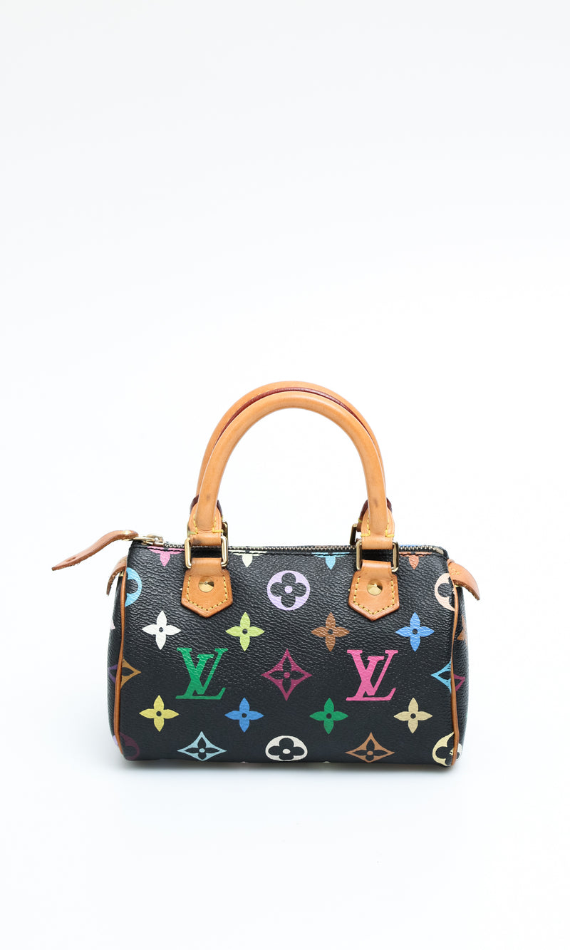 Louis Vuitton Multicolour Nano Speedy