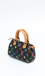 Louis Vuitton Multicolour Nano Speedy