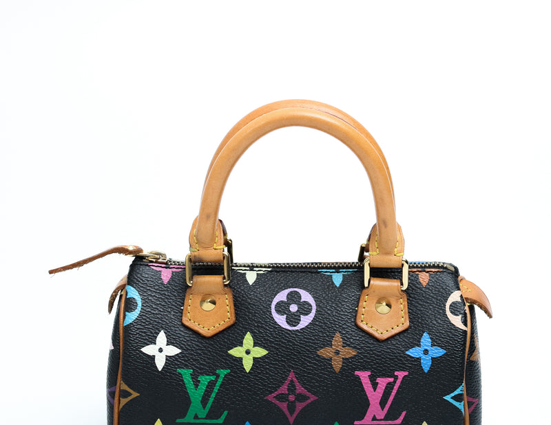 Louis Vuitton Multicolour Nano Speedy