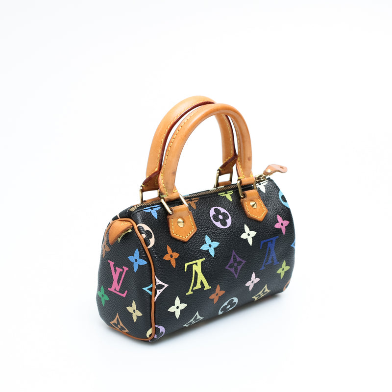 Louis Vuitton Multicolour Nano Speedy