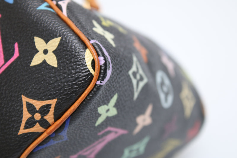 Louis Vuitton Multicolour Nano Speedy