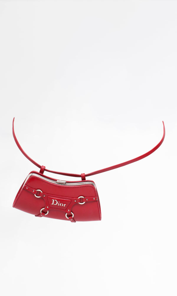 Dior Bondage Belt Bag