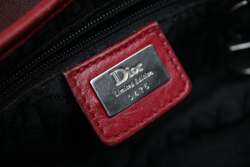 Dior Victim Saddle Bag