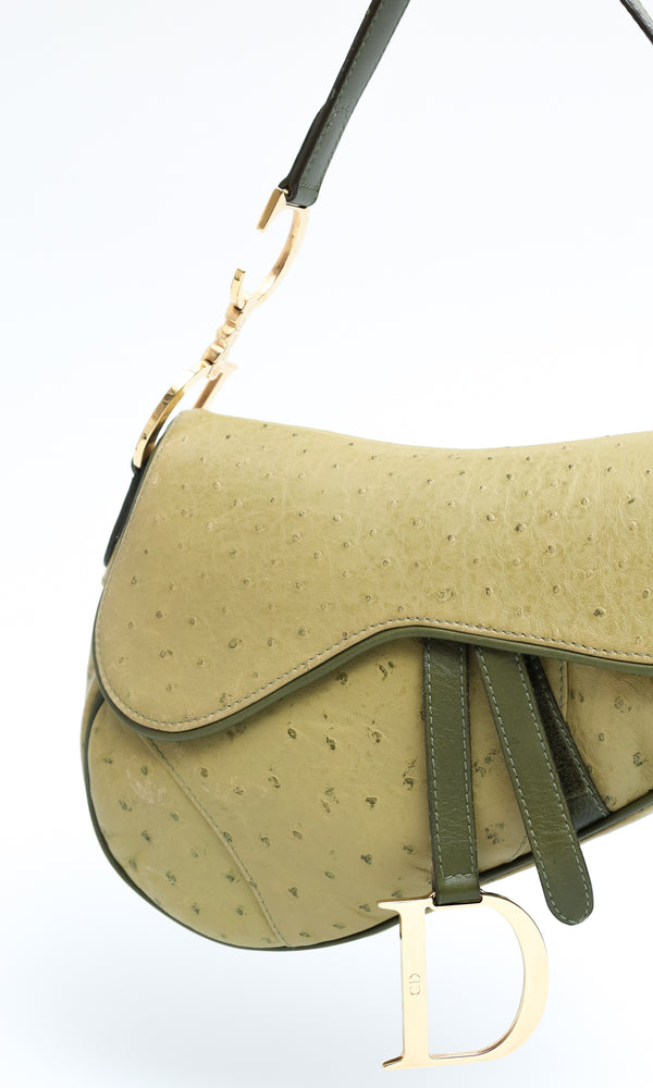 Dior Ostrich Saddle Bag