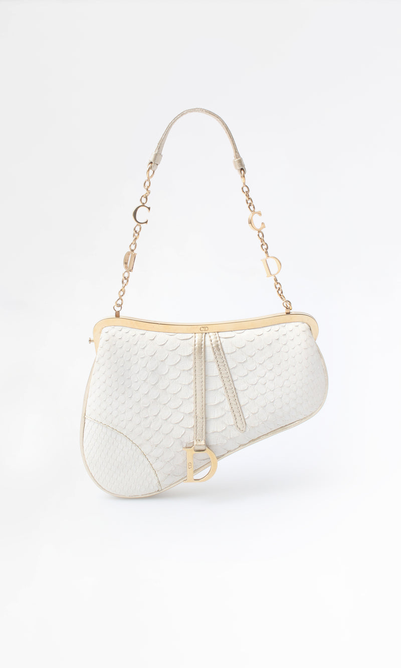 Dior Mini Saddle Bag