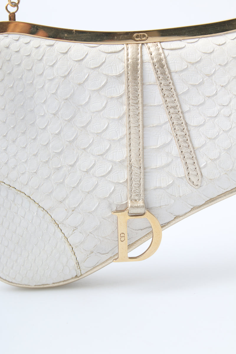 Dior Mini Saddle Bag