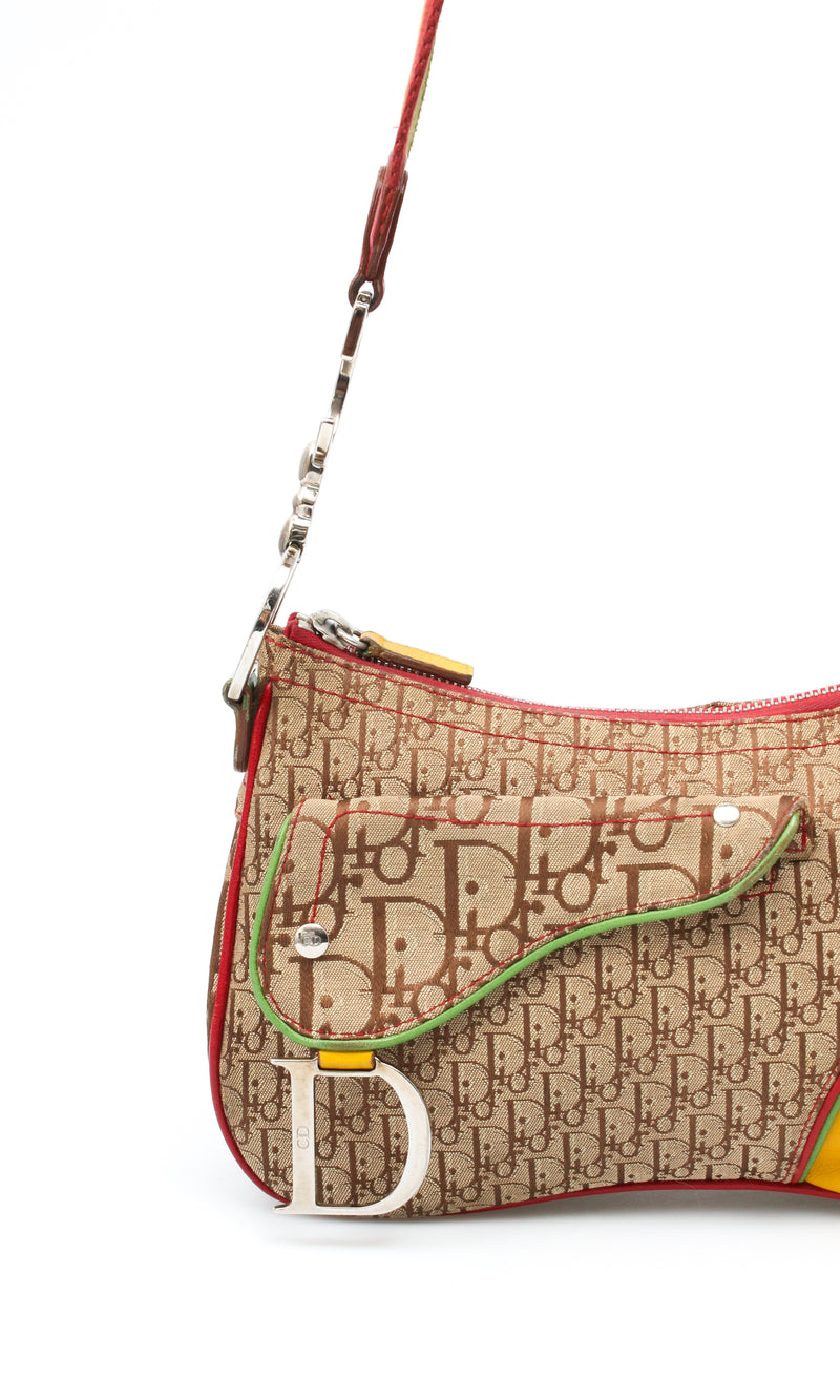 Dior Rasta Saddle Bag