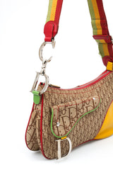 Dior Rasta Saddle Bag