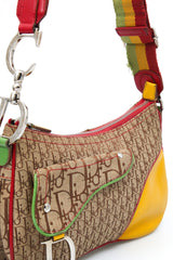 Dior Rasta Saddle Bag