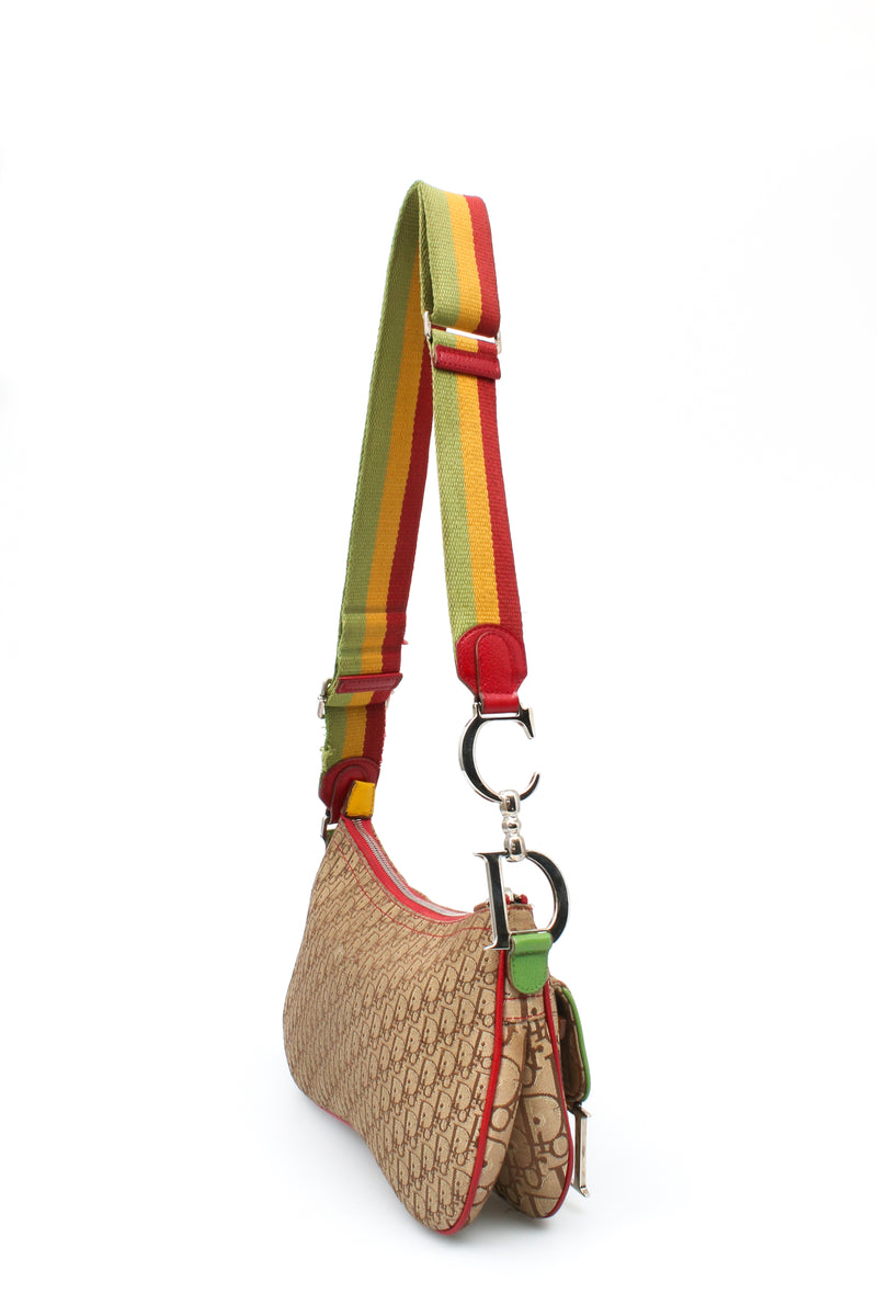 Dior Rasta Saddle Bag