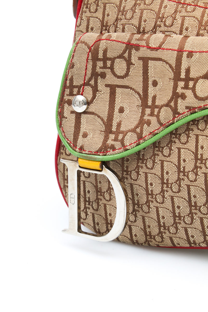 Dior Rasta Saddle Bag