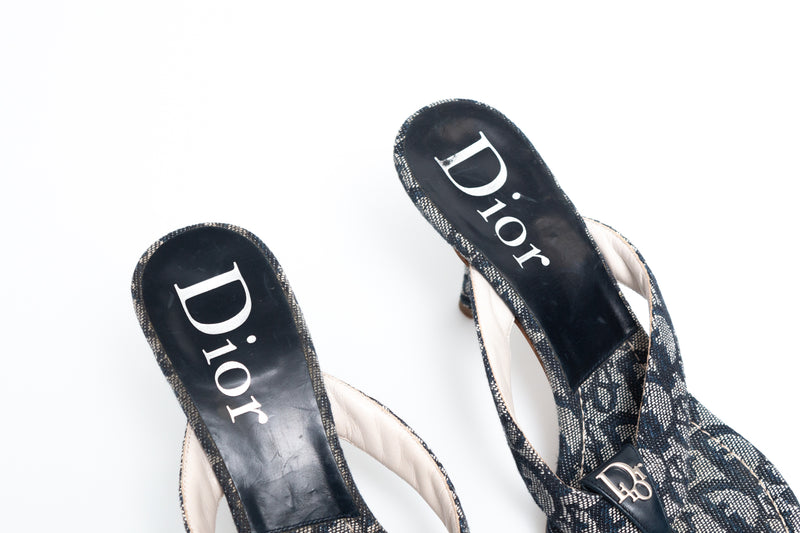 Dior Monogram Heels