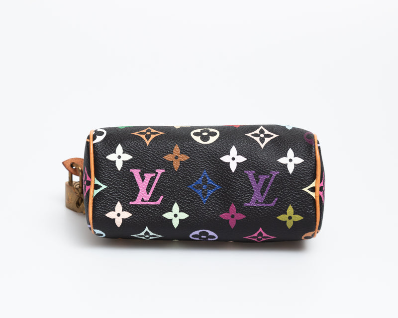 Louis Vuitton Multicolour Nano Speedy