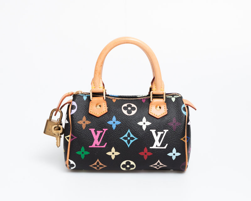 Louis Vuitton Multicolour Nano Speedy