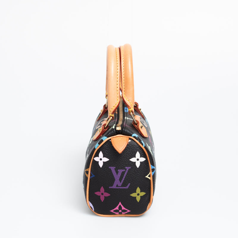 Louis Vuitton Multicolour Nano Speedy