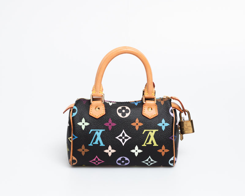 Louis Vuitton Multicolour Nano Speedy