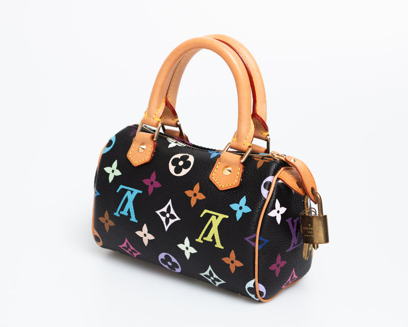 Louis Vuitton Multicolour Nano Speedy