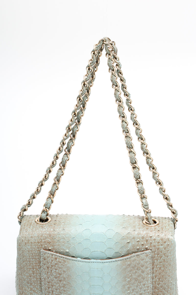 Chanel Snakeskin Flap Bag