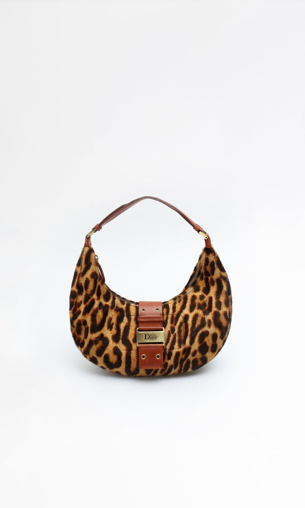 Dior Leopard Bag