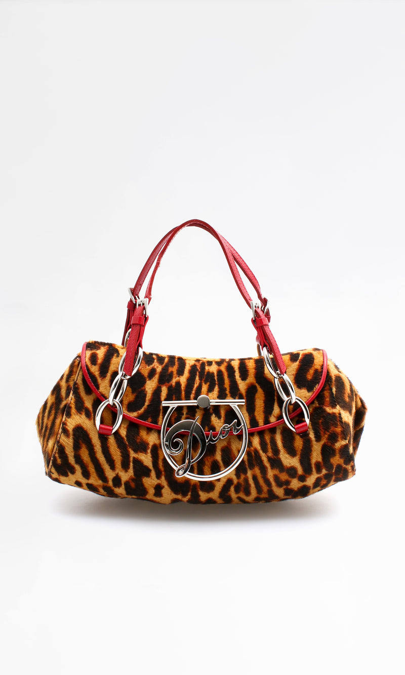 Dior Leopard Diva Bag