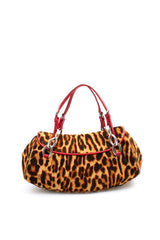 Dior Leopard Diva Bag