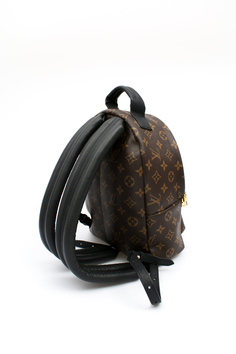 Louis Vuitton Palm Springs PM Backpack