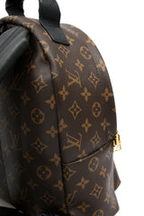 Louis Vuitton Palm Springs PM Backpack