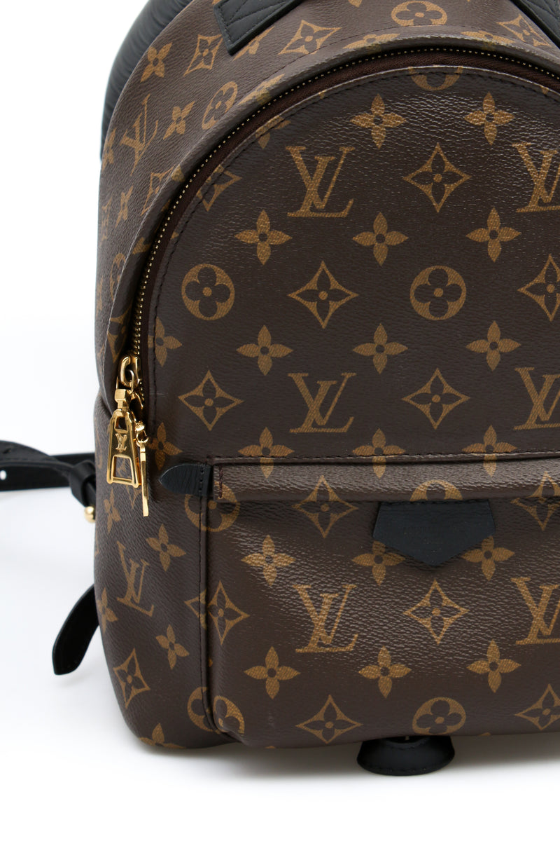 Louis Vuitton Palm Springs PM Backpack