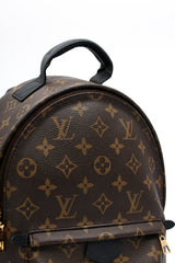 Louis Vuitton Palm Springs PM Backpack