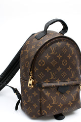 Louis Vuitton Palm Springs PM Backpack