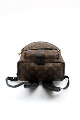 Louis Vuitton Palm Springs PM Backpack