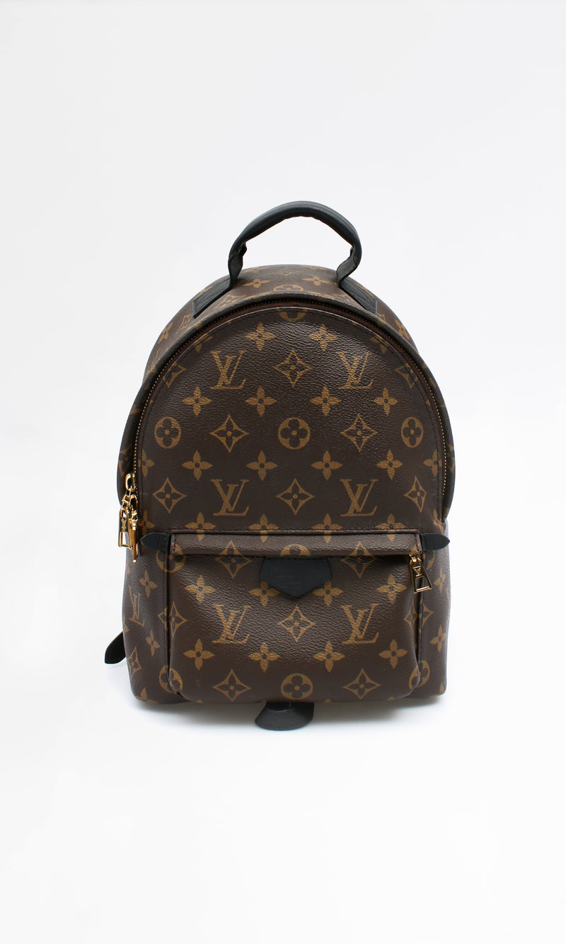 Louis Vuitton Palm Springs PM Backpack